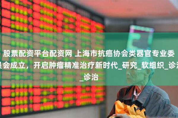 股票配资平台配资网 上海市抗癌协会类器官专业委员会成立，开启肿瘤精准治疗新时代_研究_软组织_诊治